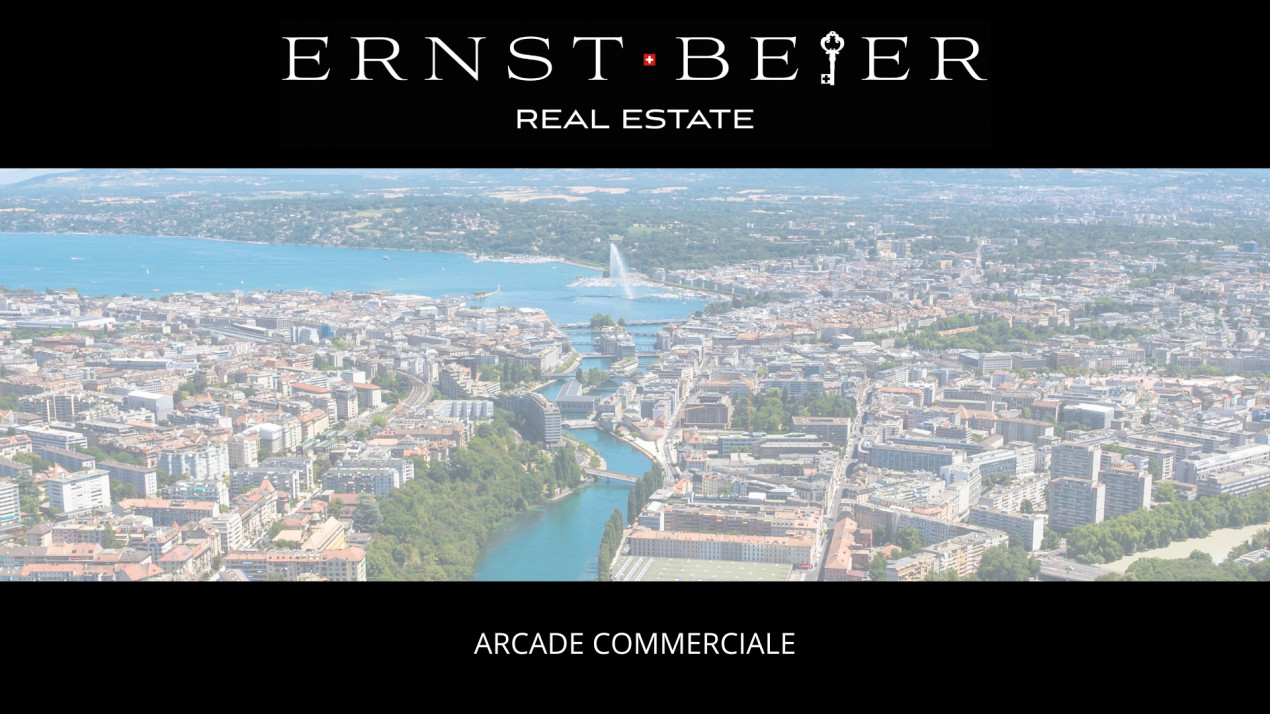 Commercial arcade - Popular area of Geneva (1205)