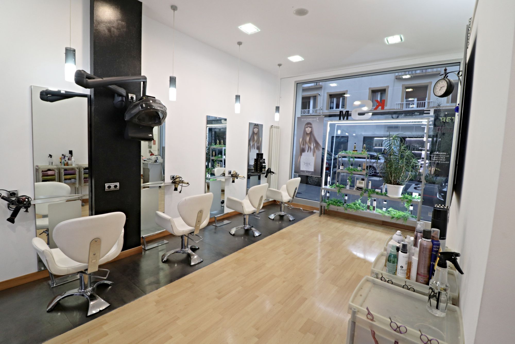 Commercial Premises Venta Alava