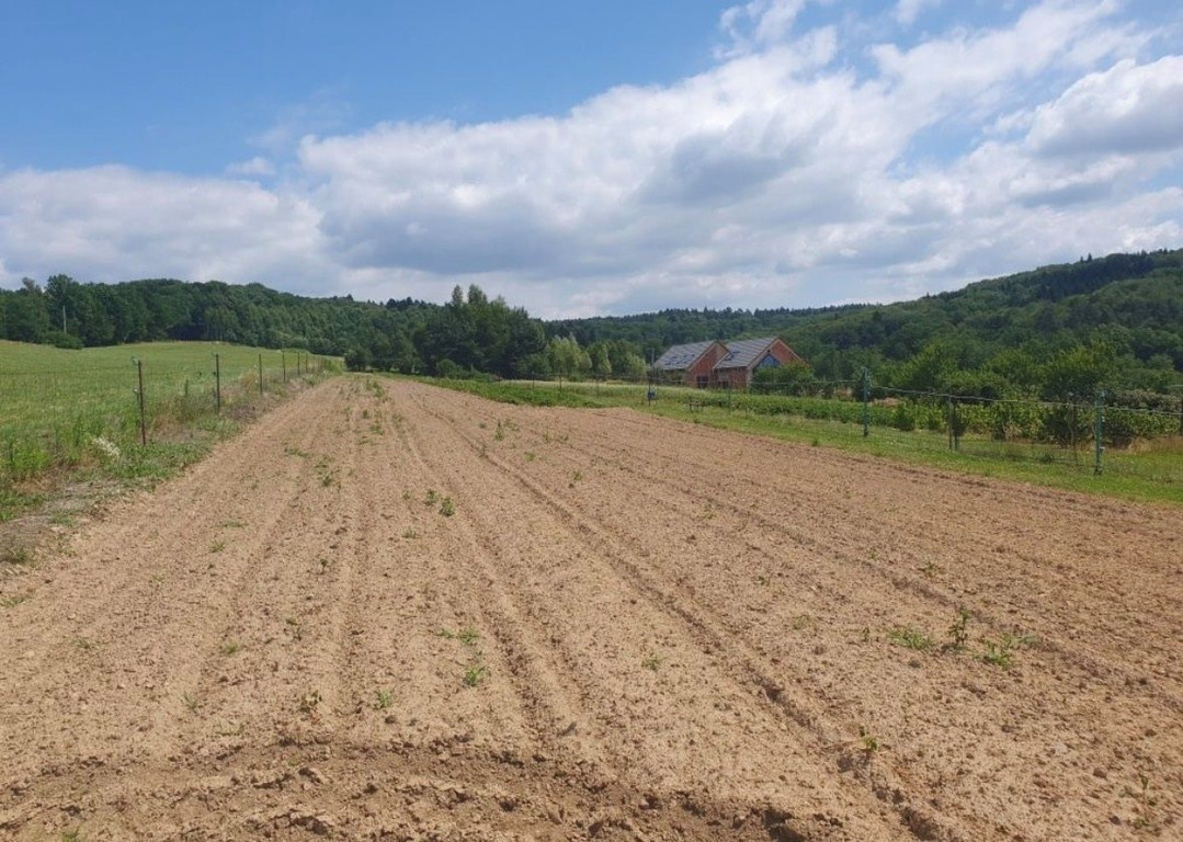 Land Plot for sale, małopolskie krakowski (Skawina, Poland)