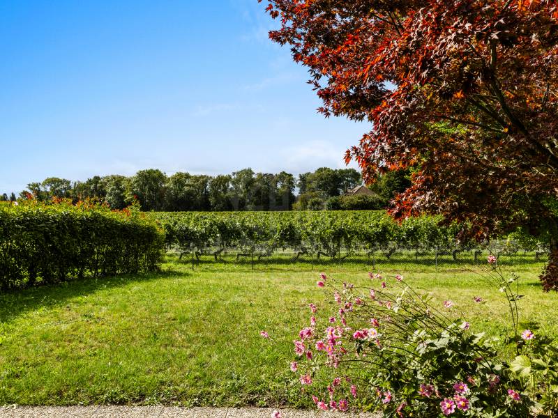 Pleasant villa - Commugny