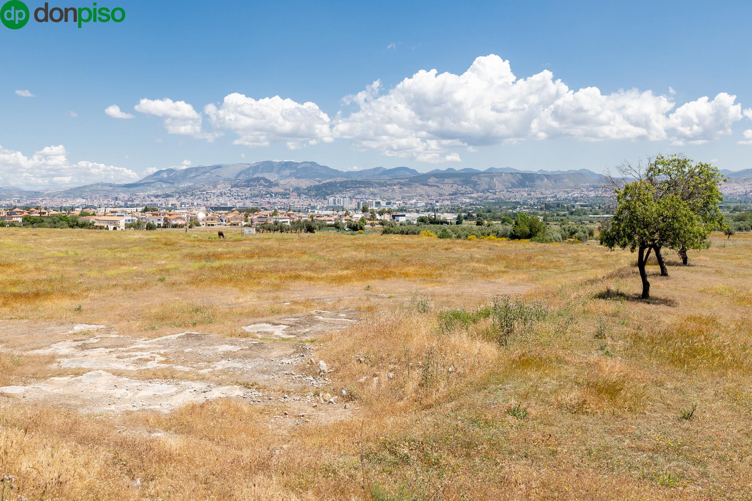 Urban plot of almost 6000 m2