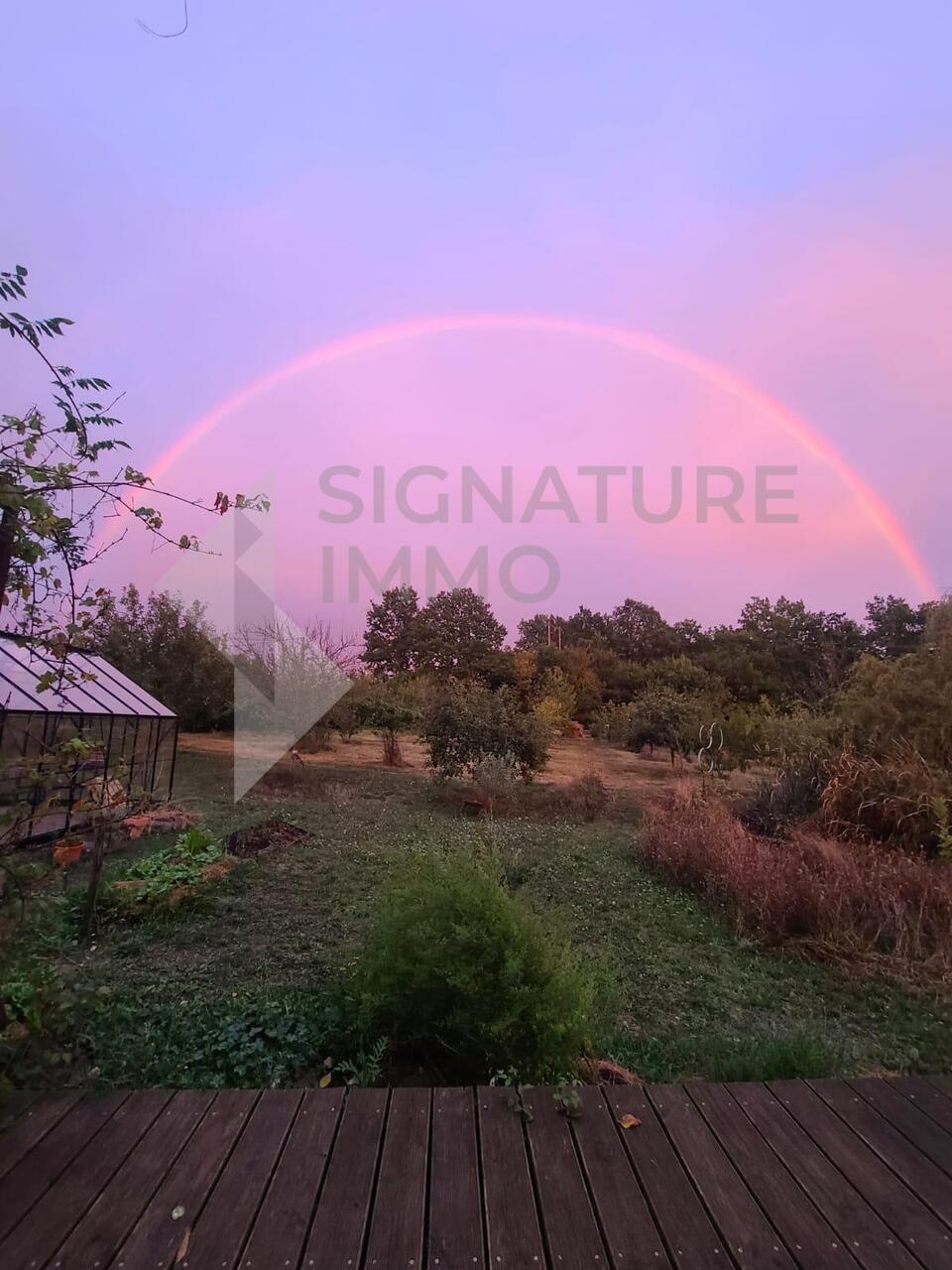 A Field with Multiple Potential Revenues