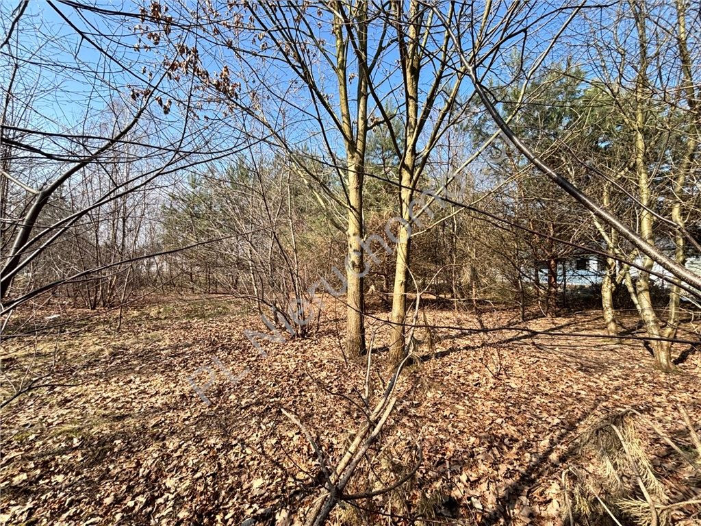 Land Plot for sale, mazowieckie pruszkowski (Nadarzyn, Poland)
