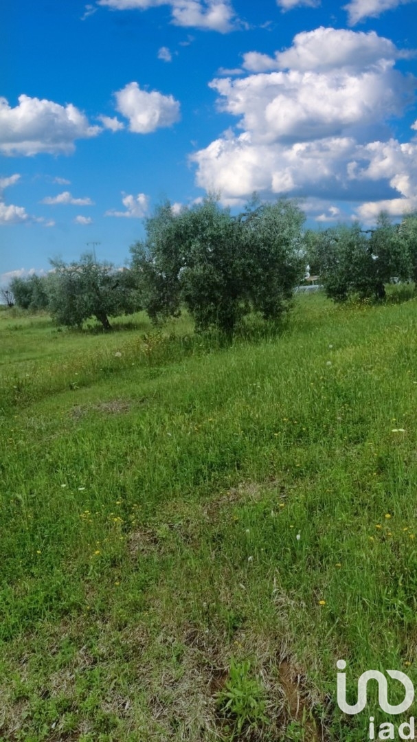 Land Plot for sale, Via Aquilaia,1 (Scansano, Italy)