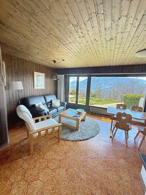 Chalet divided into two apartments in Mollens copy