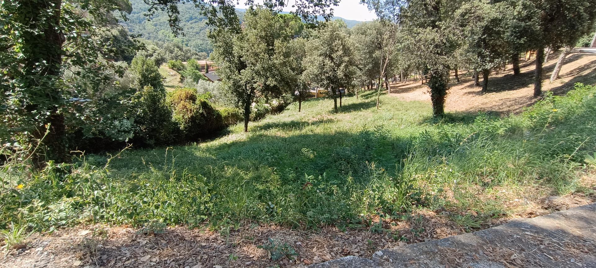 SANTA MARIA DE PALAUTORDERA (CAN BOSC): PLOT· THE SECOND-HAND SUITABLE FOR DETACHED SINGLE-FAMILY HOMES