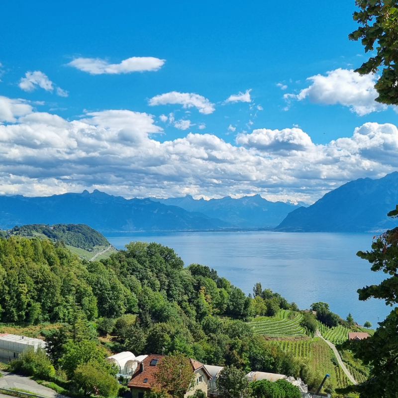 Apartment 4.5 rooms in Lutry