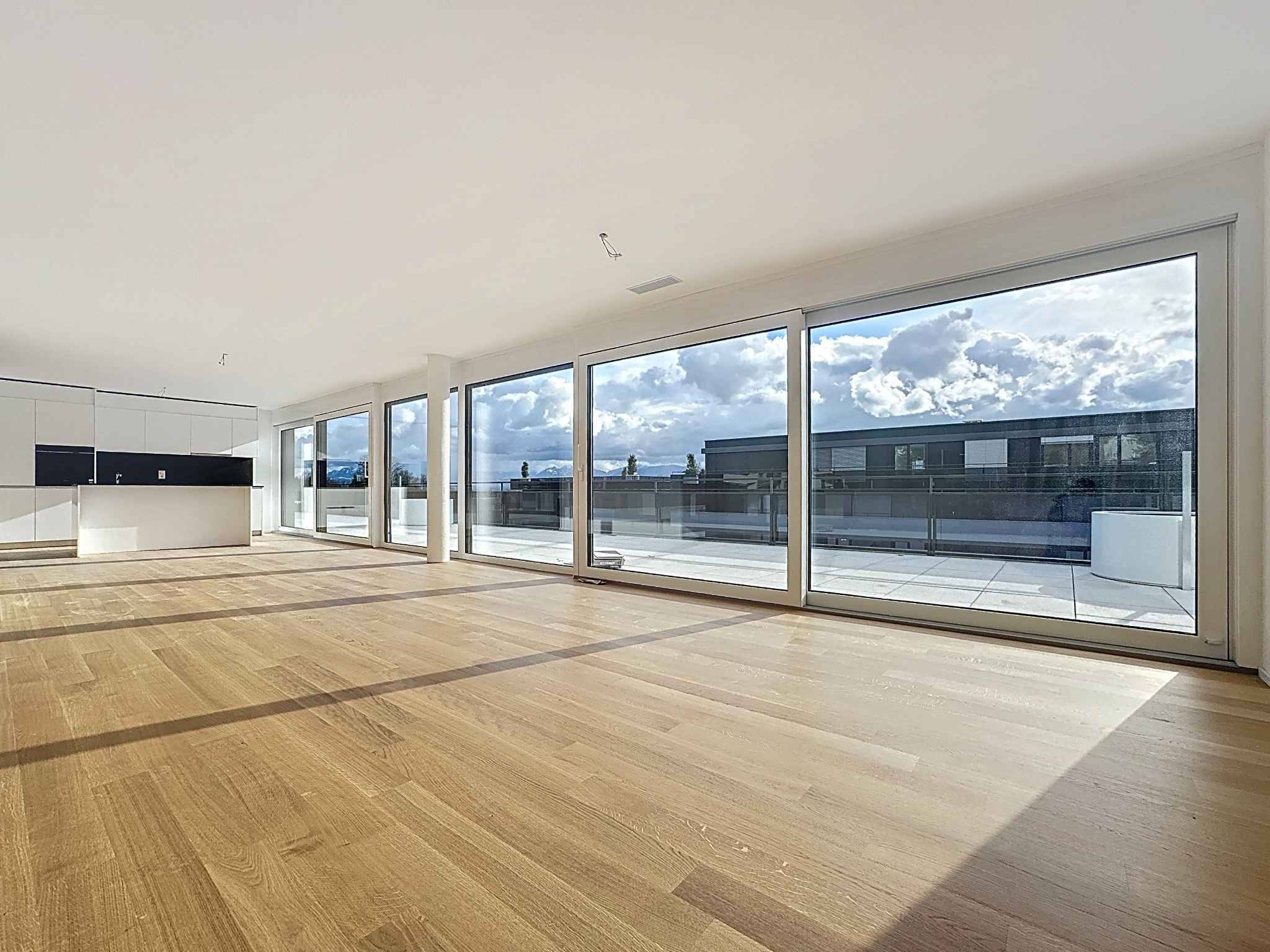 5.5-room penthouse with rooftop terrace