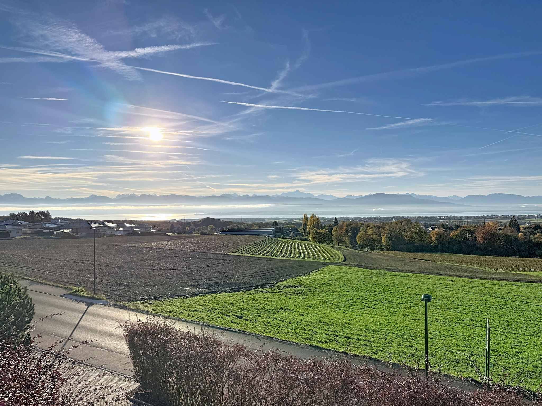 Sumptuous breathtaking views of the Alps and Geneva's Jet d'Eau