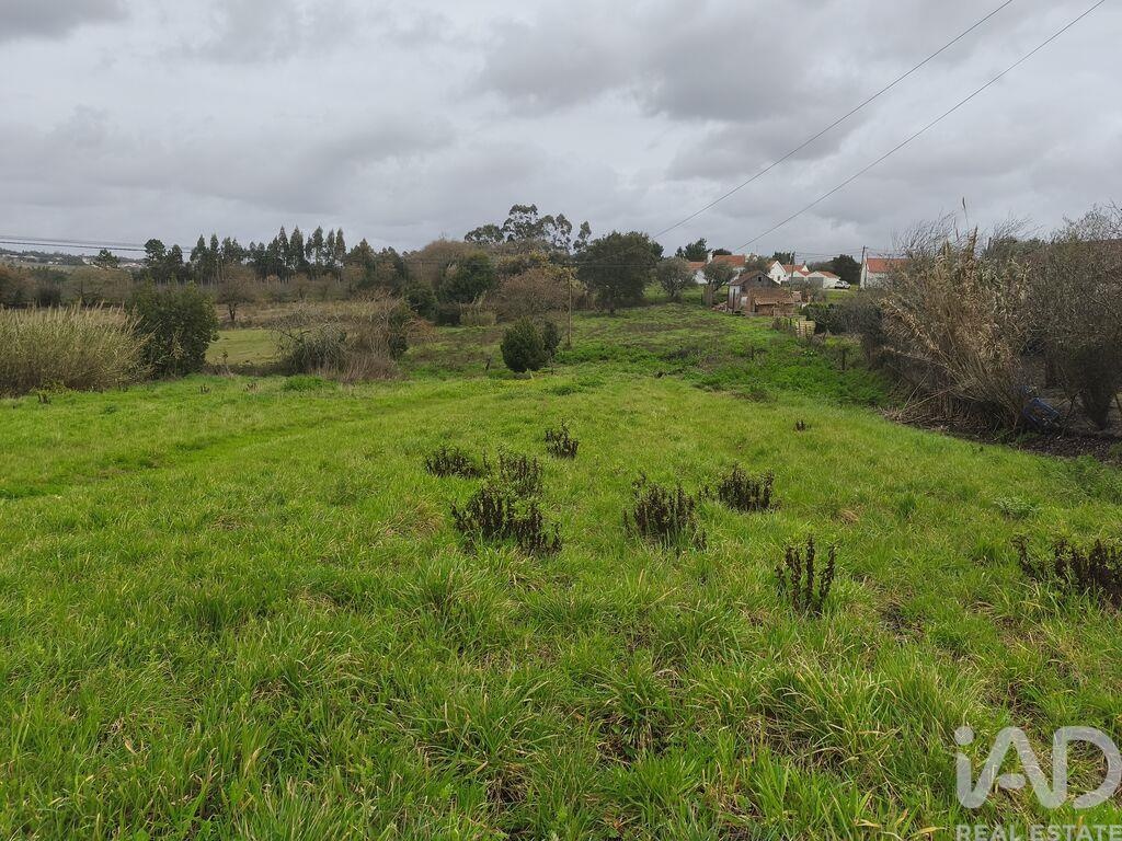 Agricultural Land in Cela