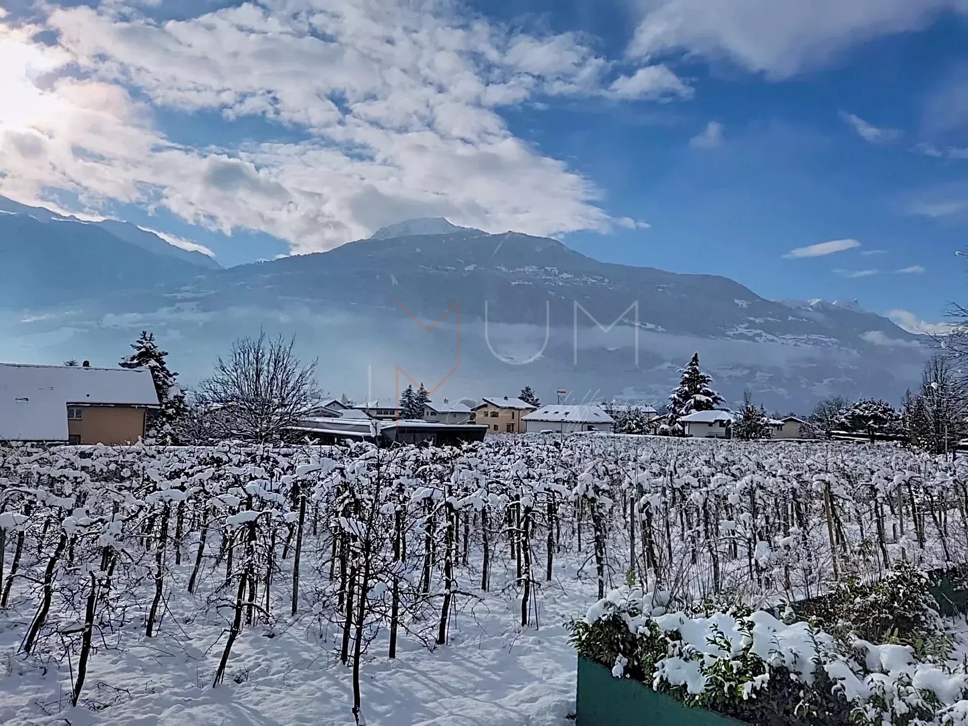 Minergie house with garden and complete home automation