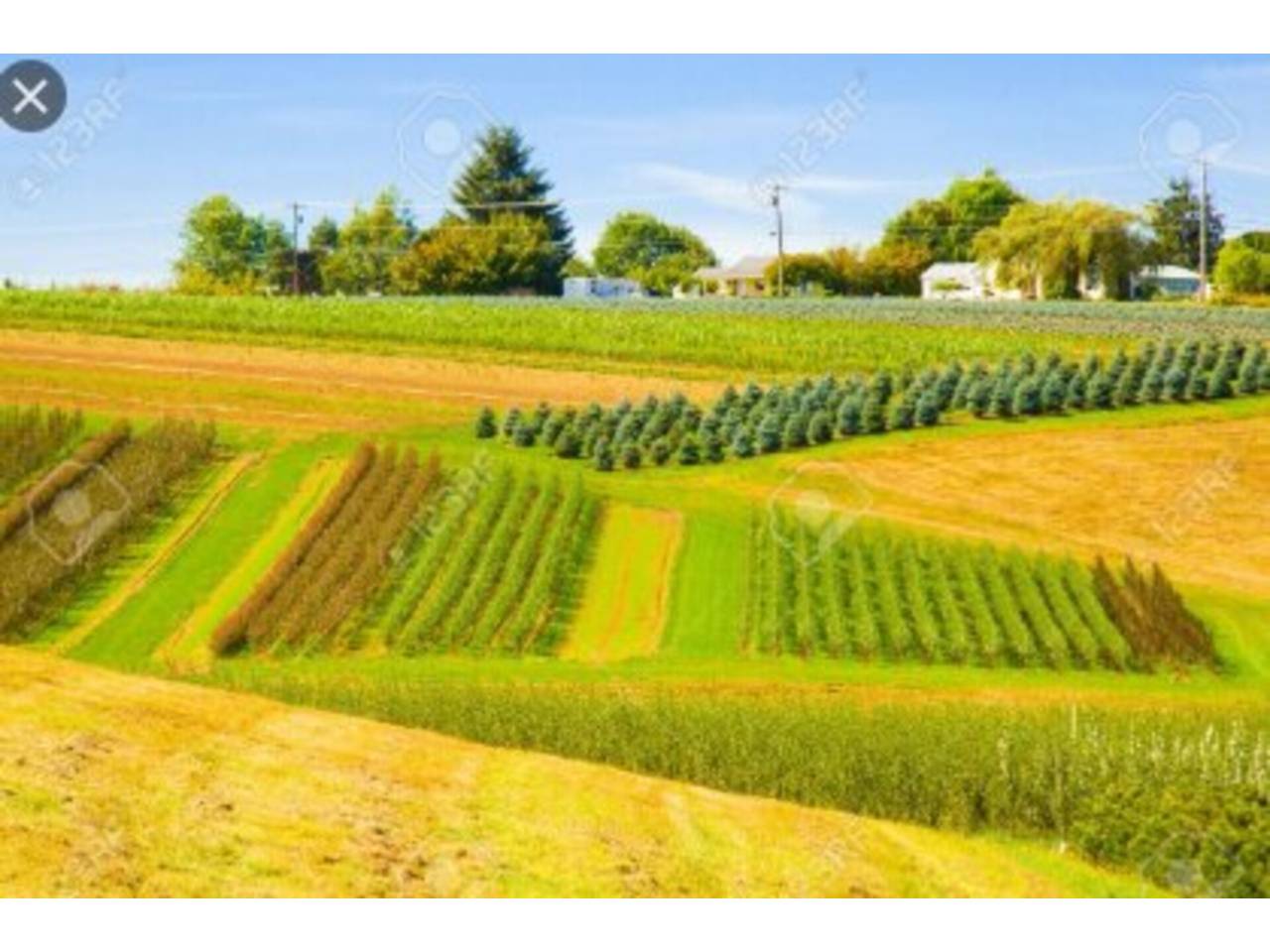 Land for sale in Ajarte