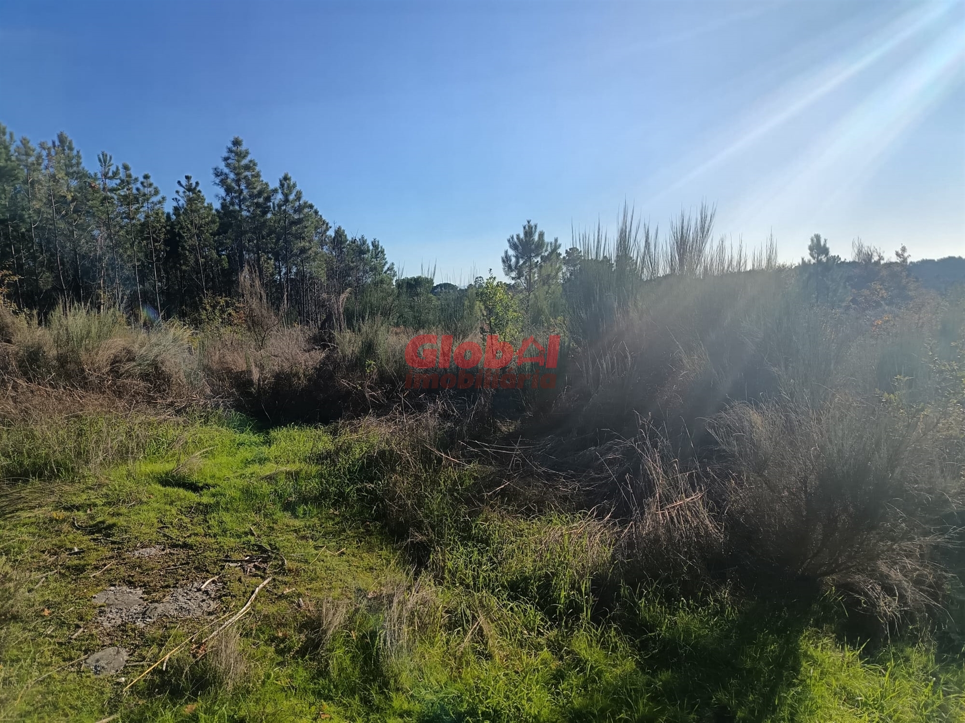 Land Plot for sale, Viseu, Repeses e São Salvador, Portugal (Viseu, Portugal)