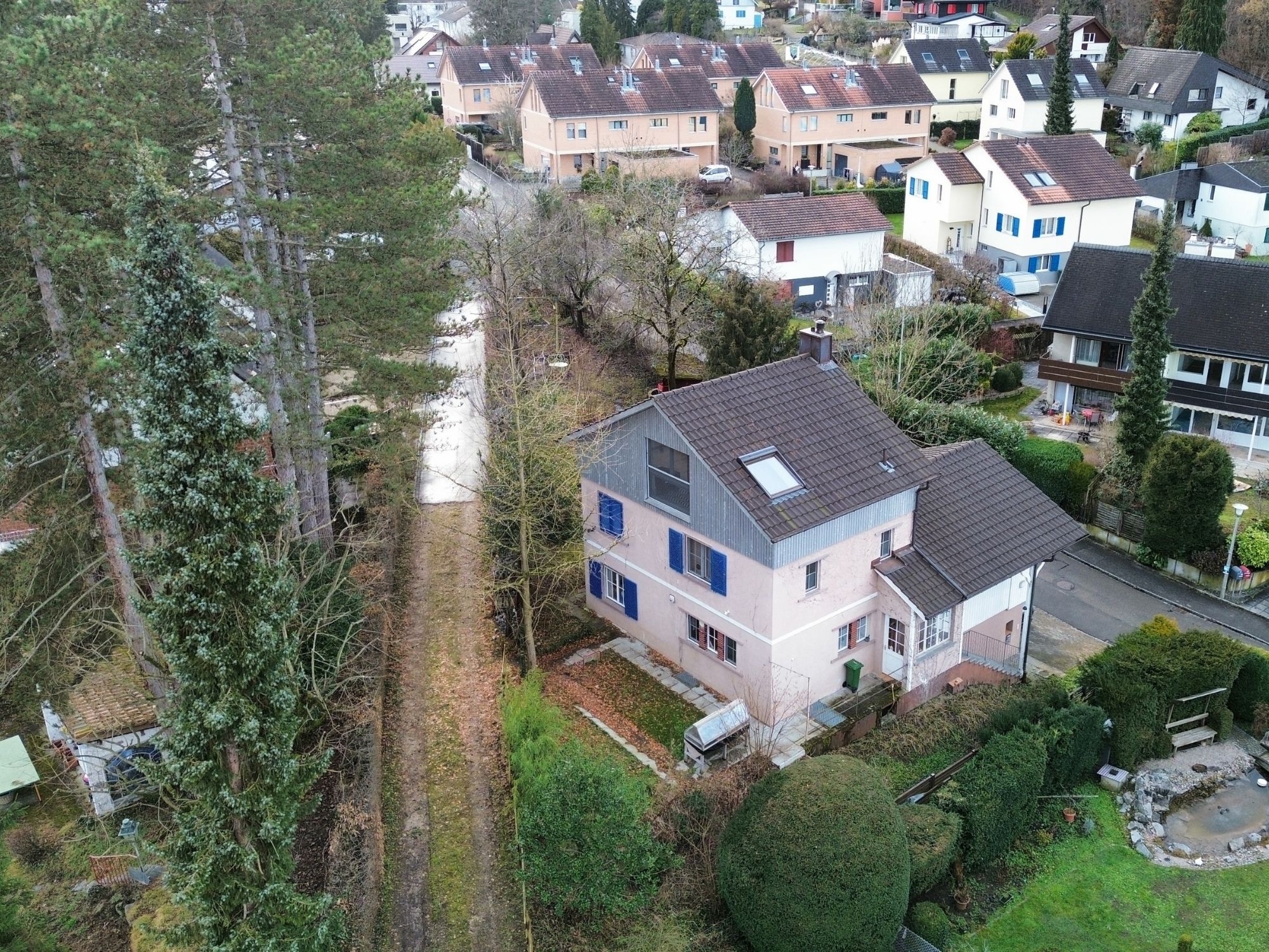 Single-family house on a slope on a large plot, Reinach (BL)