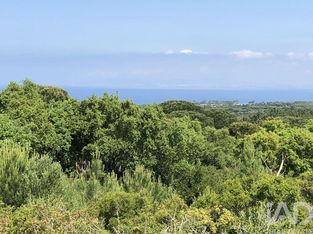 Agricultural Land in Sesimbra (Castelo)