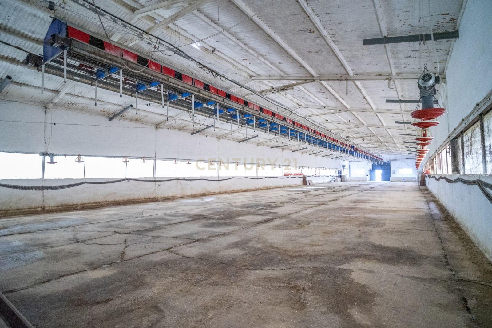 ## NAVES CON PARCELA N.:5269 (Price: 435,000 Euro)