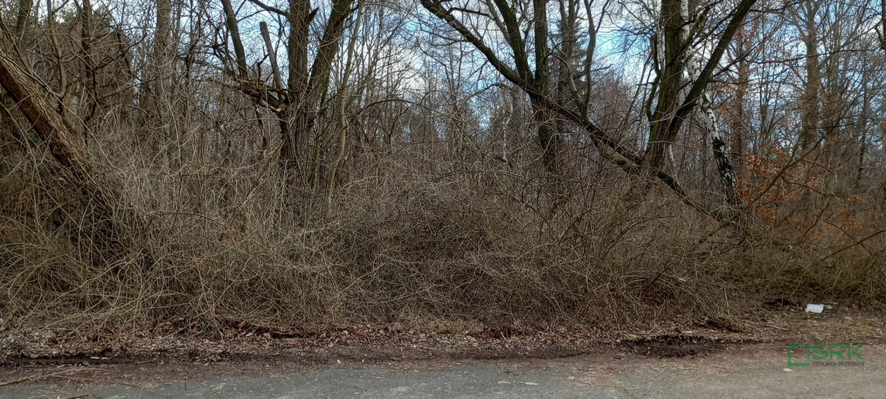 Land Plot for sale, śląskie, Goetla (Katowice, Poland)