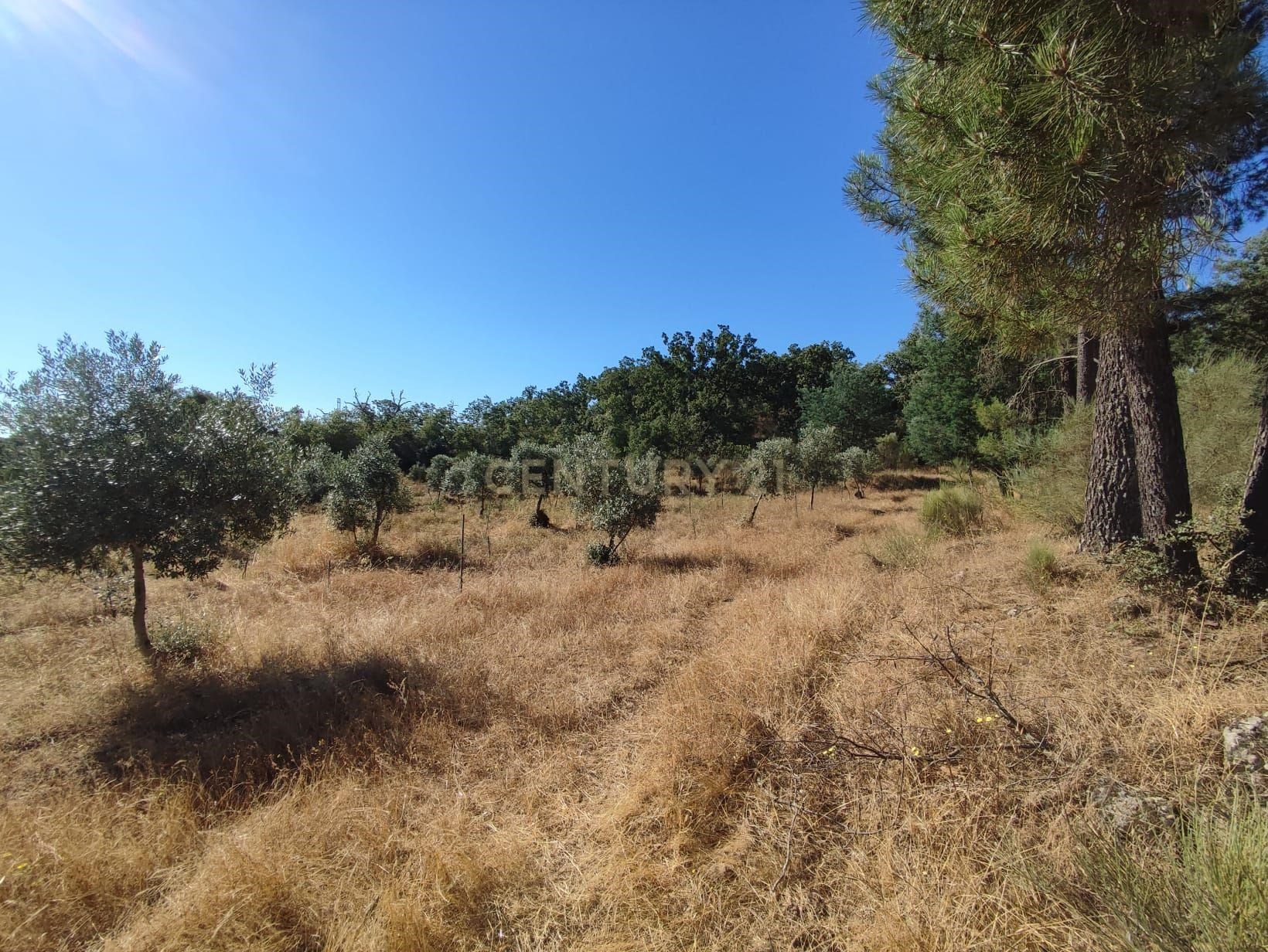 Rustic site, Cafede, Castelo Branco