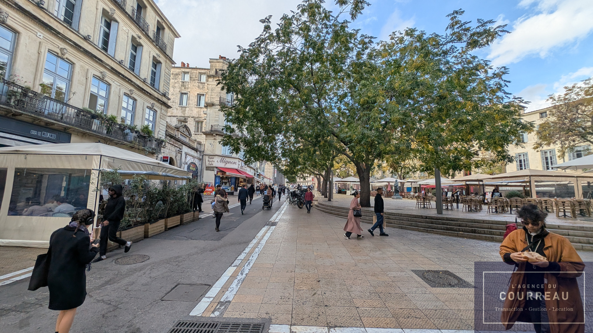 Commercial premises 33 m2 Historic center of Montpellier Rental investment