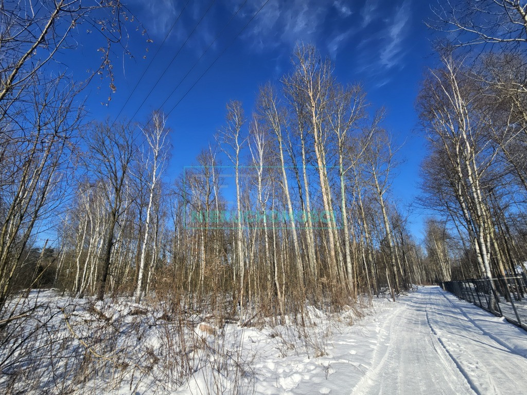 Land Plot for sale, mazowieckie grodziski (Jaktorów, Poland)