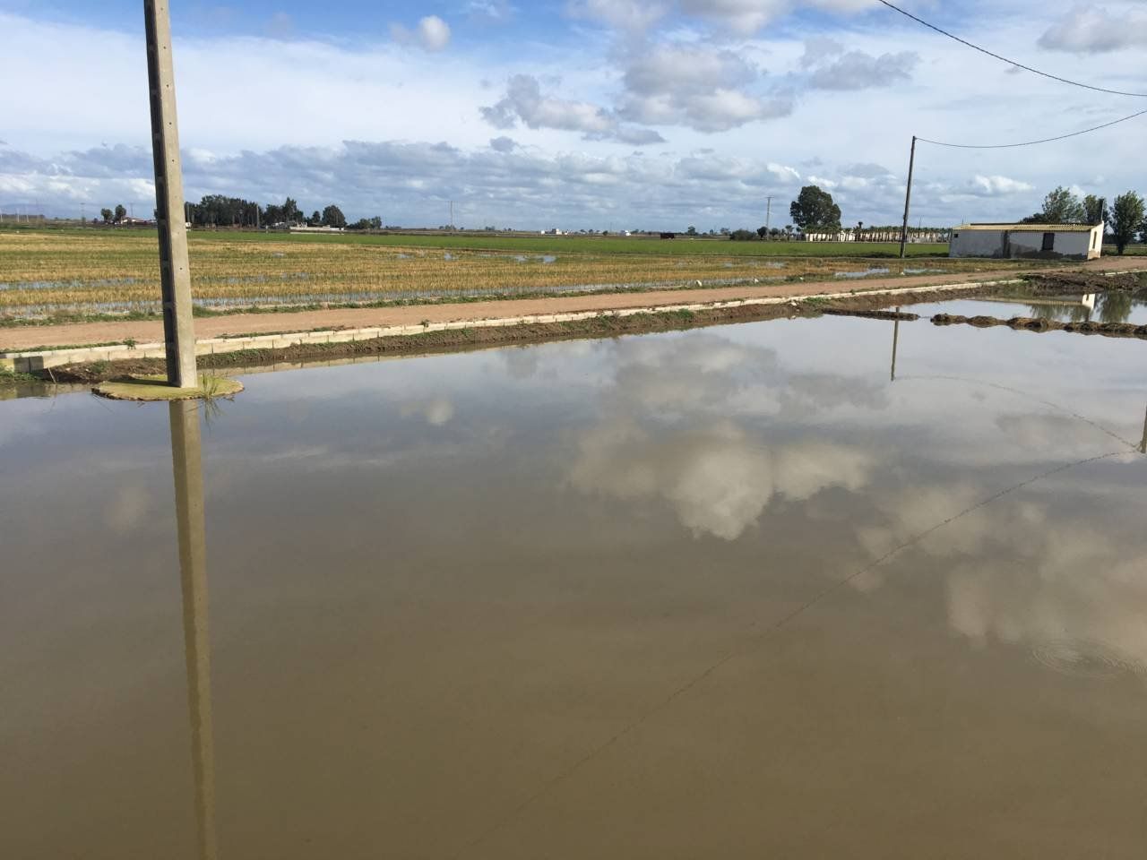 Industrial property for sale