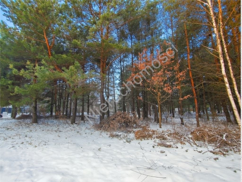Land Plot for sale, mazowieckie grodziski (Grodzisk Mazowiecki, Poland)