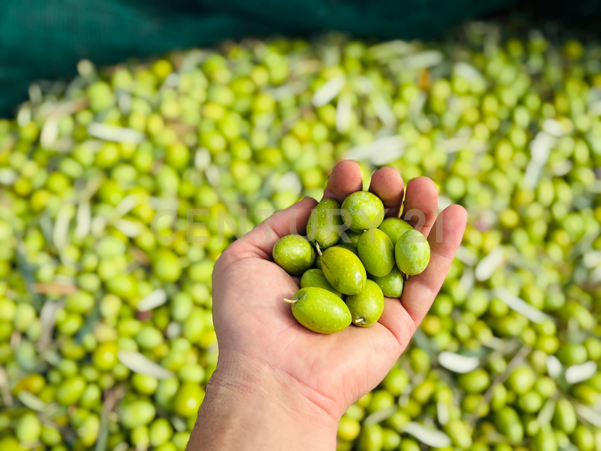 Home for sale, strada provinciale, 104 (Modica, Italy)