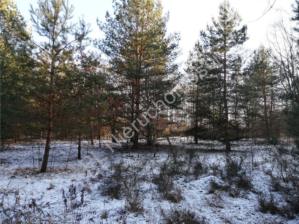 Land Plot for sale, mazowieckie pruszkowski (Brwinów, Poland)