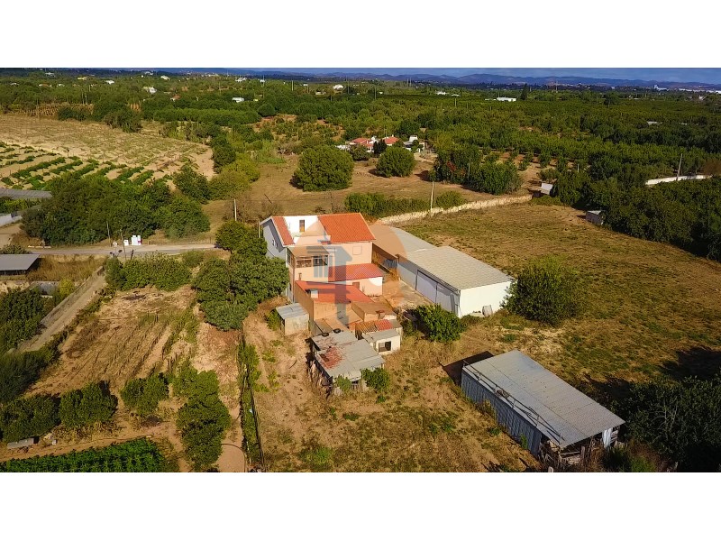 Farm with house, warehouses and 5,450 m² of land