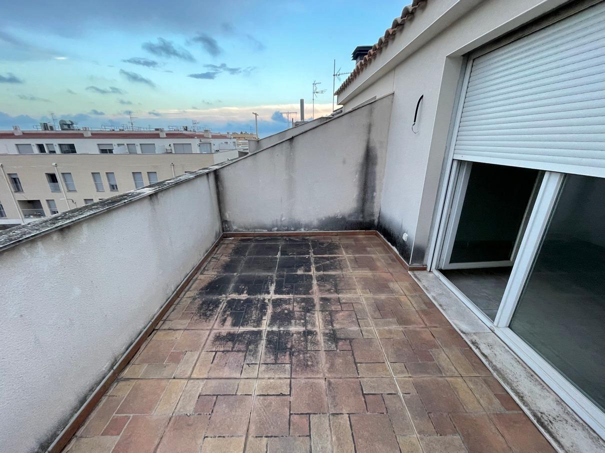 Development of 6 homes