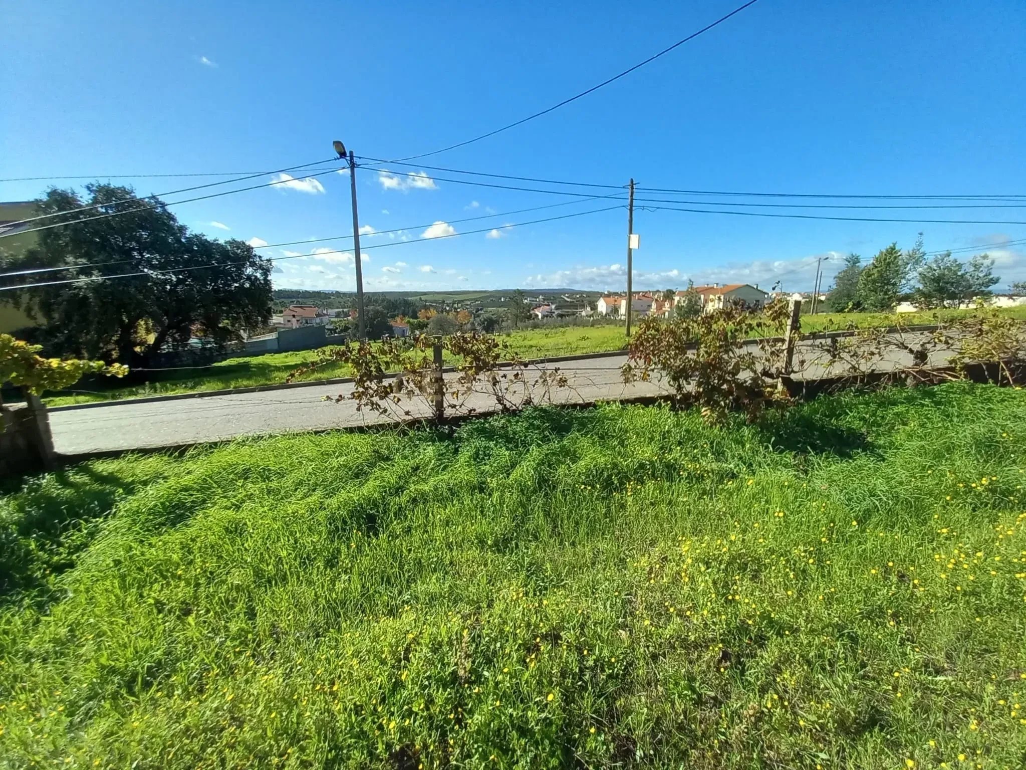 Building Plot in Castelo Branco