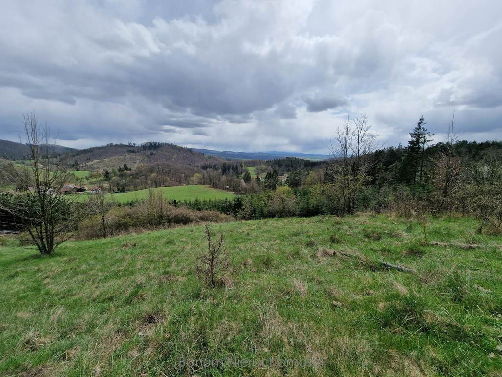 Land Plot for sale, dolnośląskie kłodzki (Klodzko, Poland)