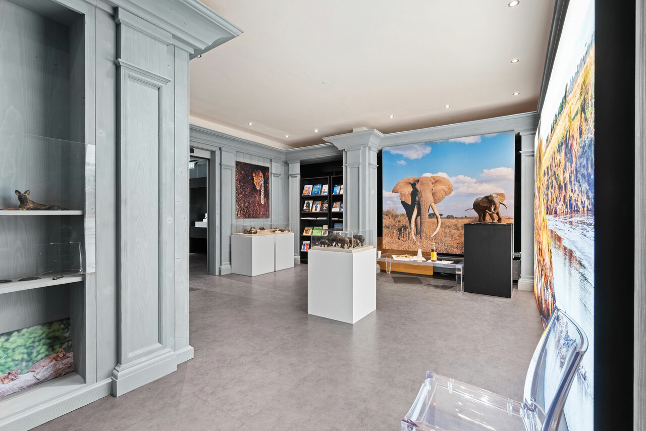 Local commercial 430m2 rue commerçante