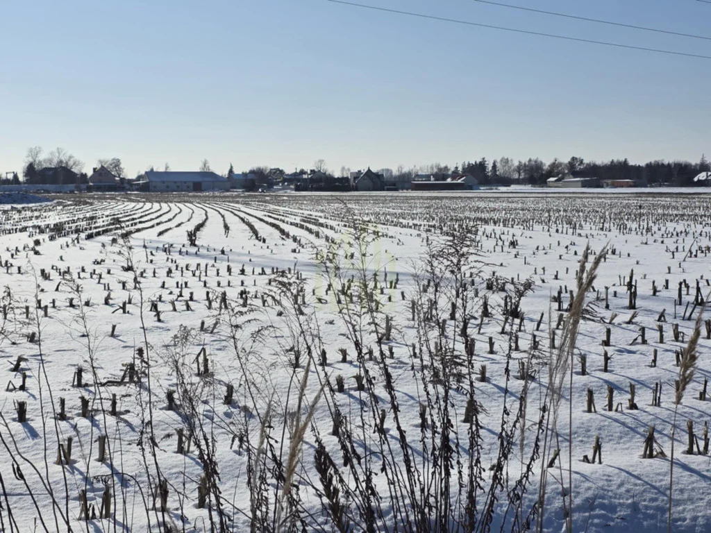 Land Plot for sale, mazowieckie warszawski zachodni , Sochaczewska (Błonie, Poland)