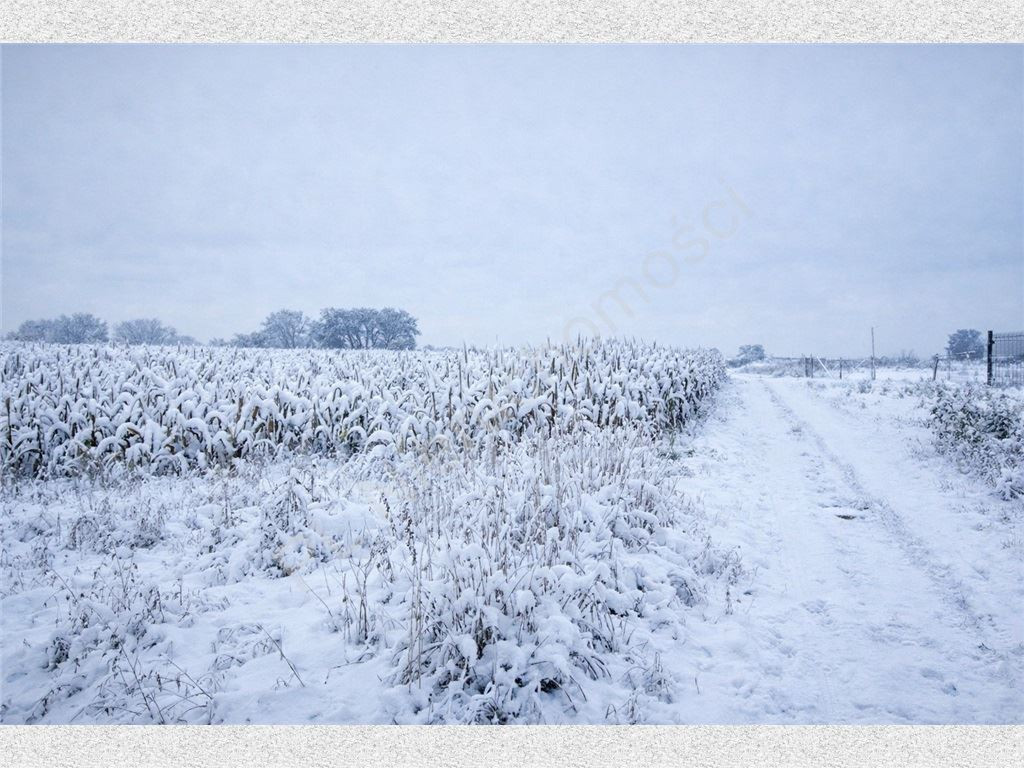 Land Plot for sale, mazowieckie grodziski (Grodzisk Mazowiecki, Poland)