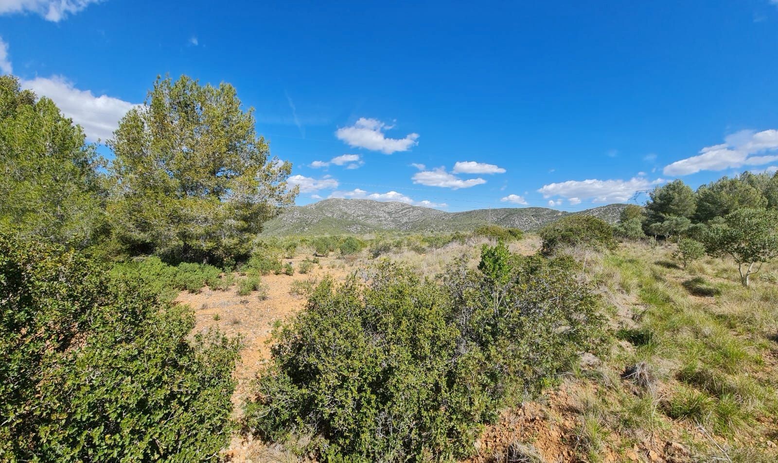 Land Plot for sale in Olivella, Spain