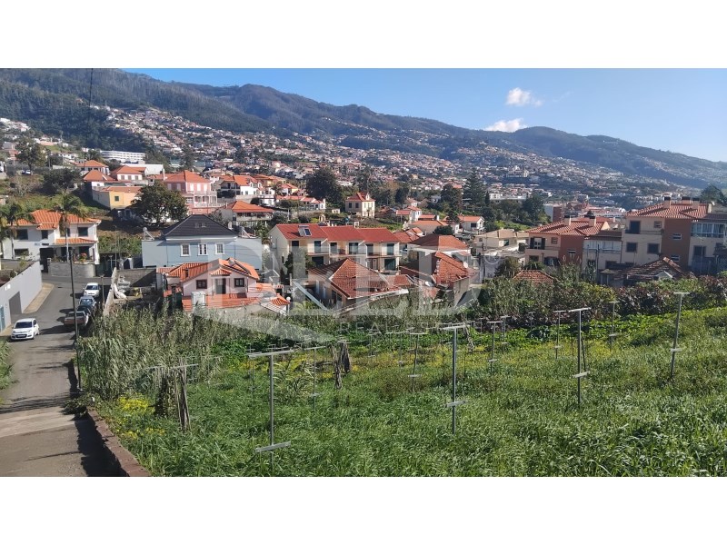 Two plots for sale 1900m2 + 1010m2 in Santo António , Funchal