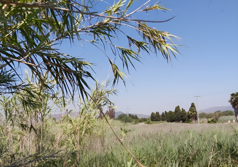 Land Plot for sale, SECTOR SUNP-4 PLAYA DE SAGUNTO, 29. parcel (Sagunto, Spain)