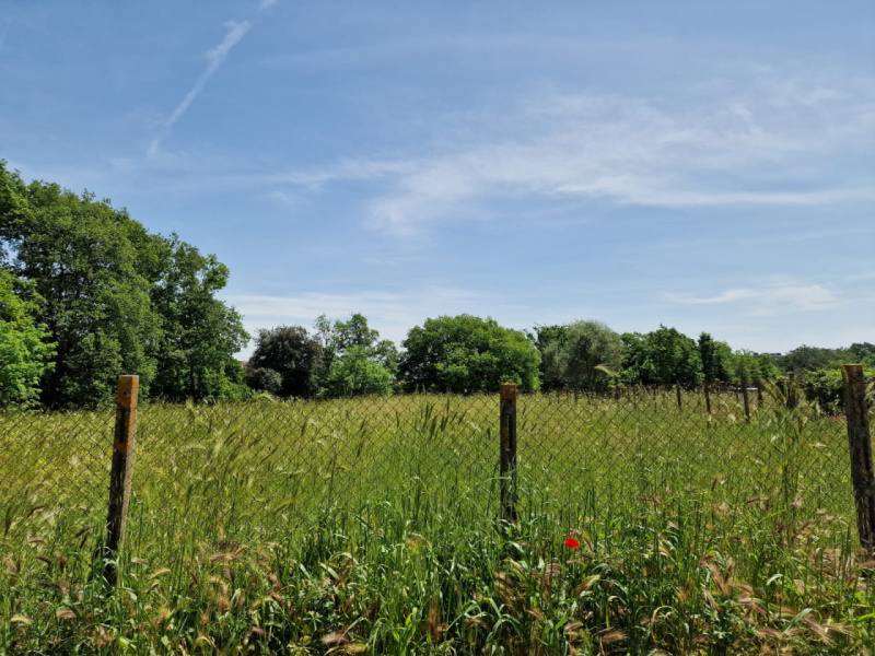 Land Plot for sale, lazio roma boccea (Lazio, Italy)