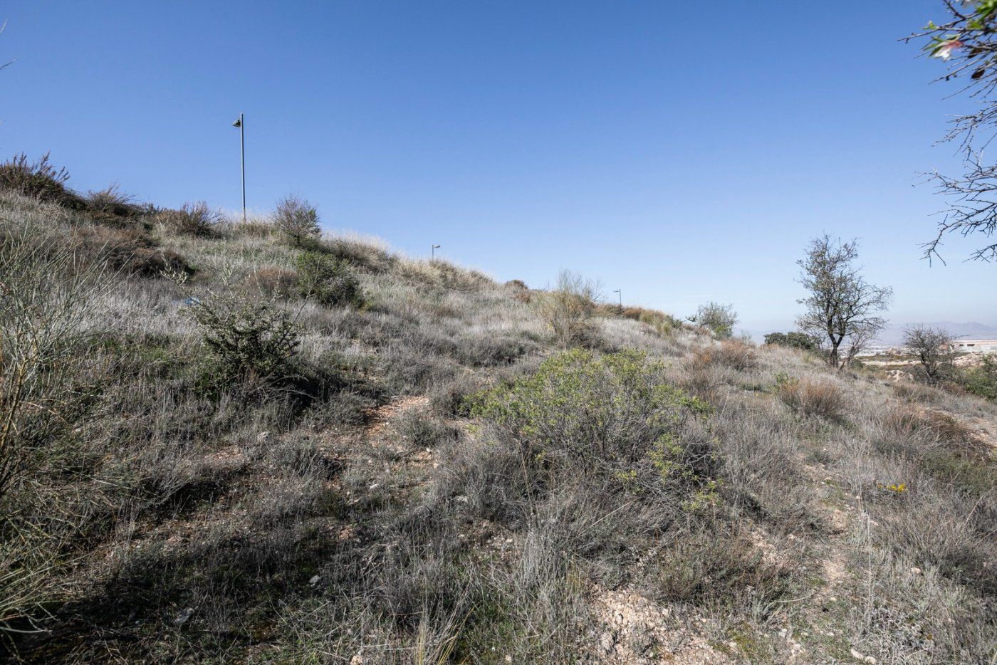 Land Plot for sale in La Zubia, Spain