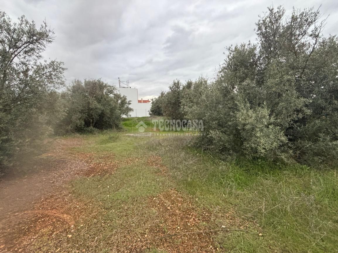 Land Plot for sale in Vega de Granada, Spain