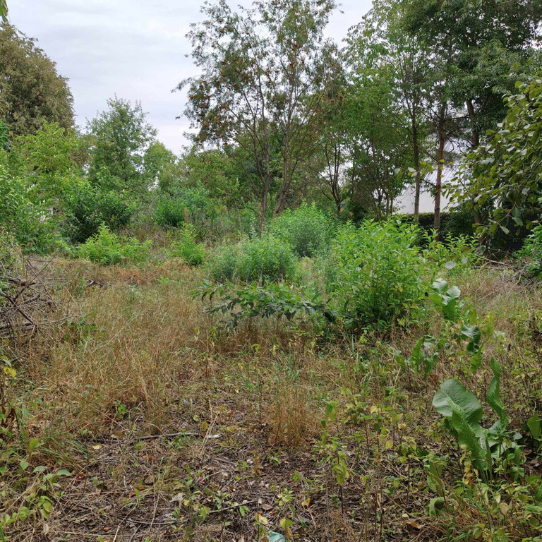 Land Plot for sale, mazowieckie pruszkowski (Nadarzyn, Poland)