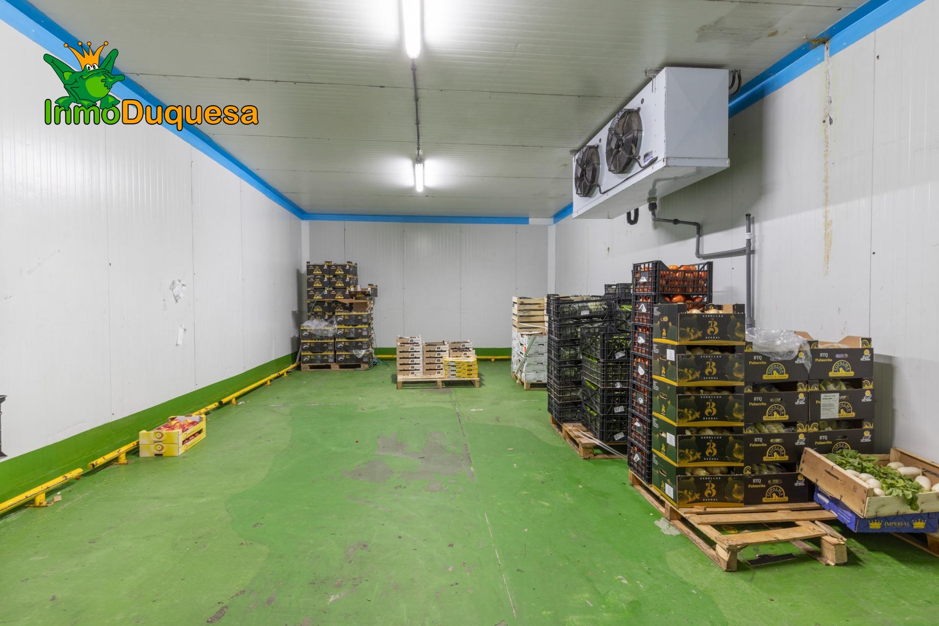 Industrial WAREHOUSE with more than 400 m2 and cold rooms.
