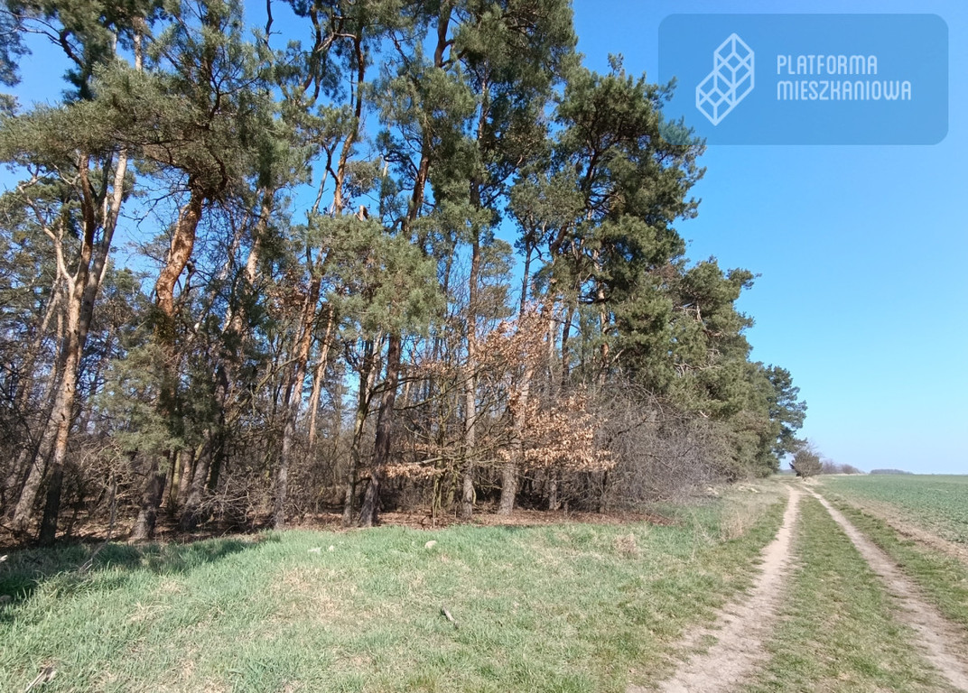 Home for sale, dolnośląskie oławski (Jelcz-Laskowice, Poland)