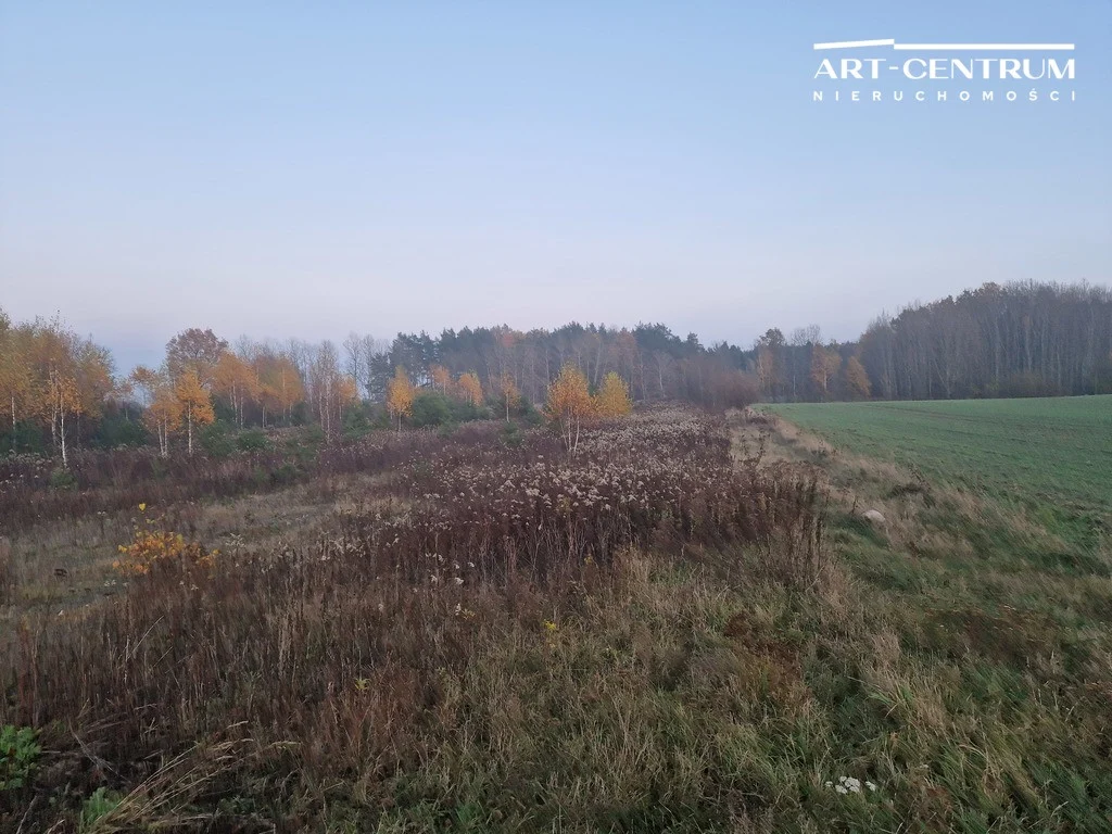 Land Plot for sale, kujawsko-pomorskie bydgoski (Osielsko, Poland)