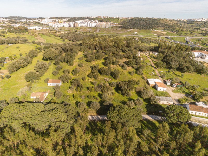 Building land at the gates of the city
