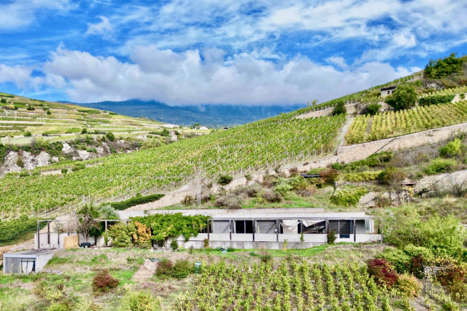 Villa of unique architecture in Sion, benefiting from a rare and exceptional location