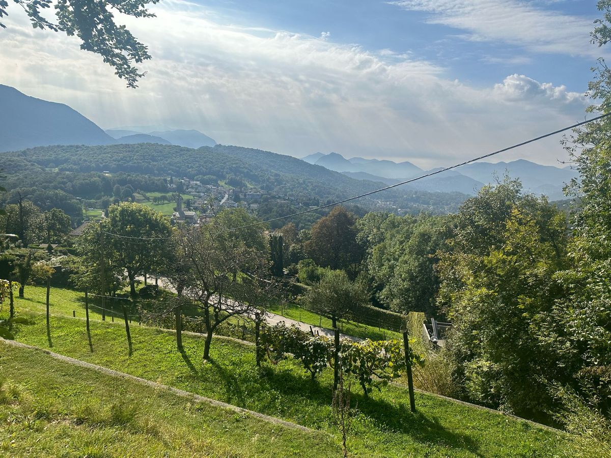 Sala Capriasca - Terreno edificabile