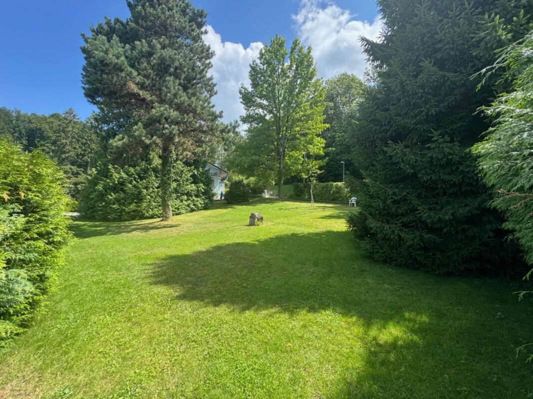 Magnificent 1'800 m² building plot in Epalinges-Croisettes