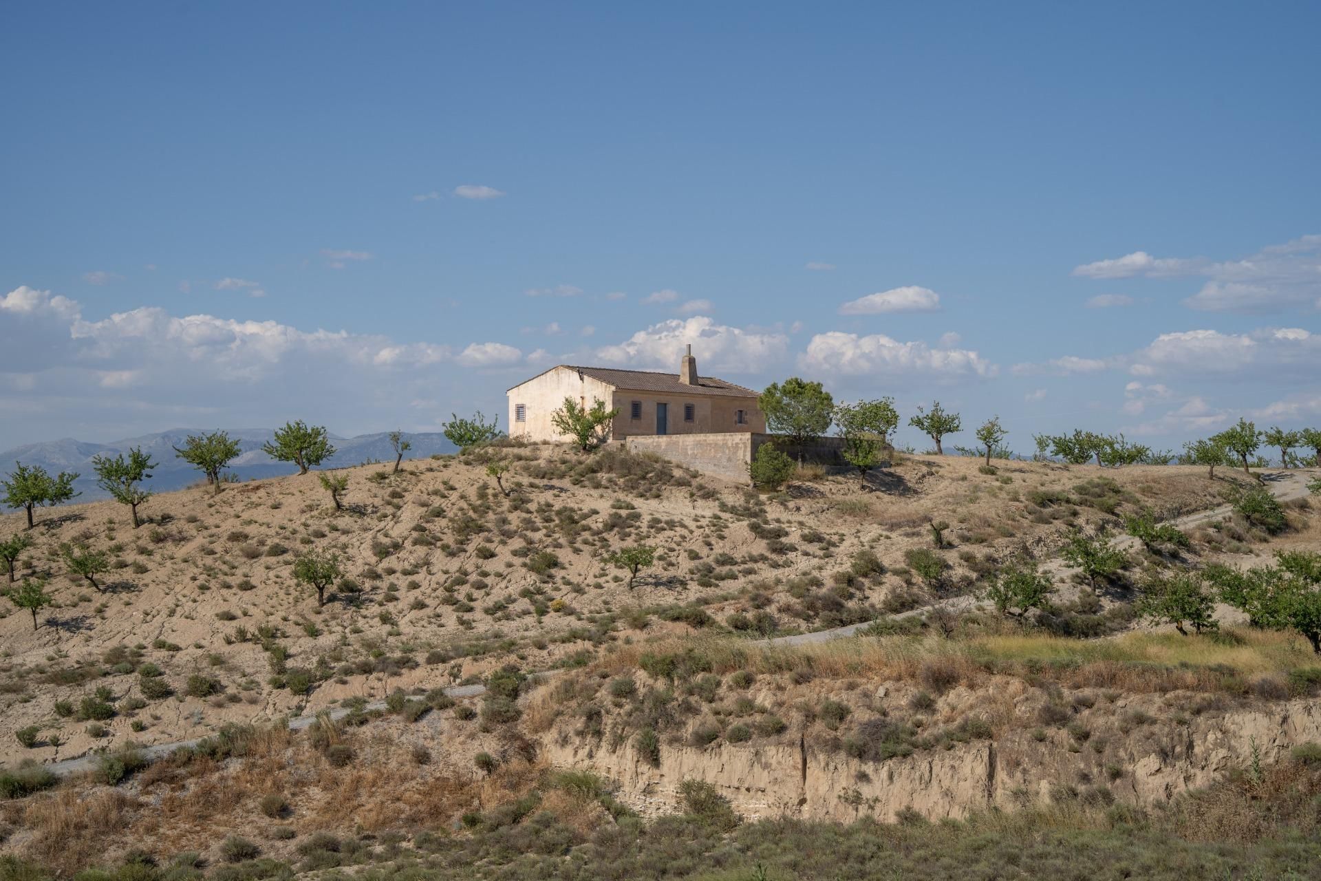 Land Plot for sale in Alhendín, Spain